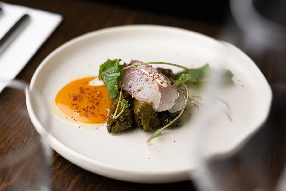 Plated dish of fish with stuffed vine leaves and orange sauce on white plate
