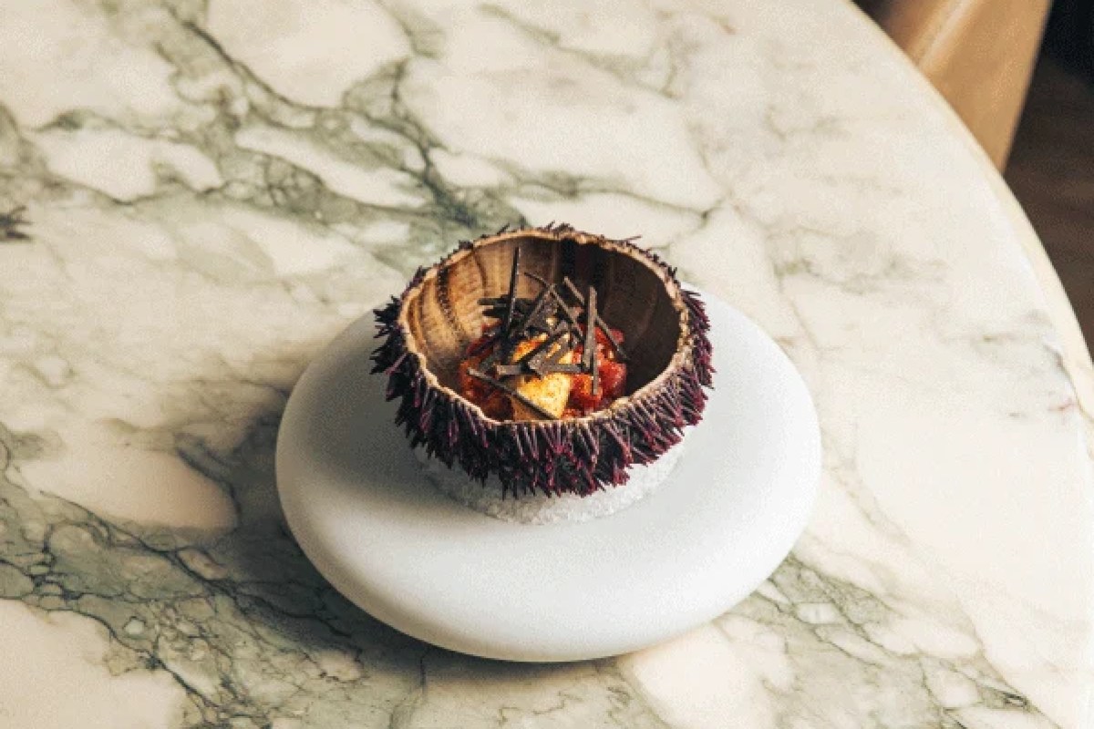 A dish served in a sea urchin shell with sauce and garnish on a marble table