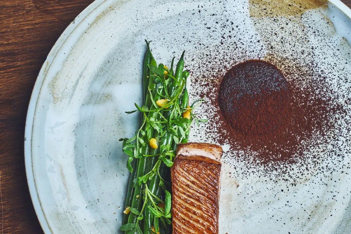 Plated dish with seared duck or meat, green beans, herbs, and dark powder garnish on a ceramic plate
