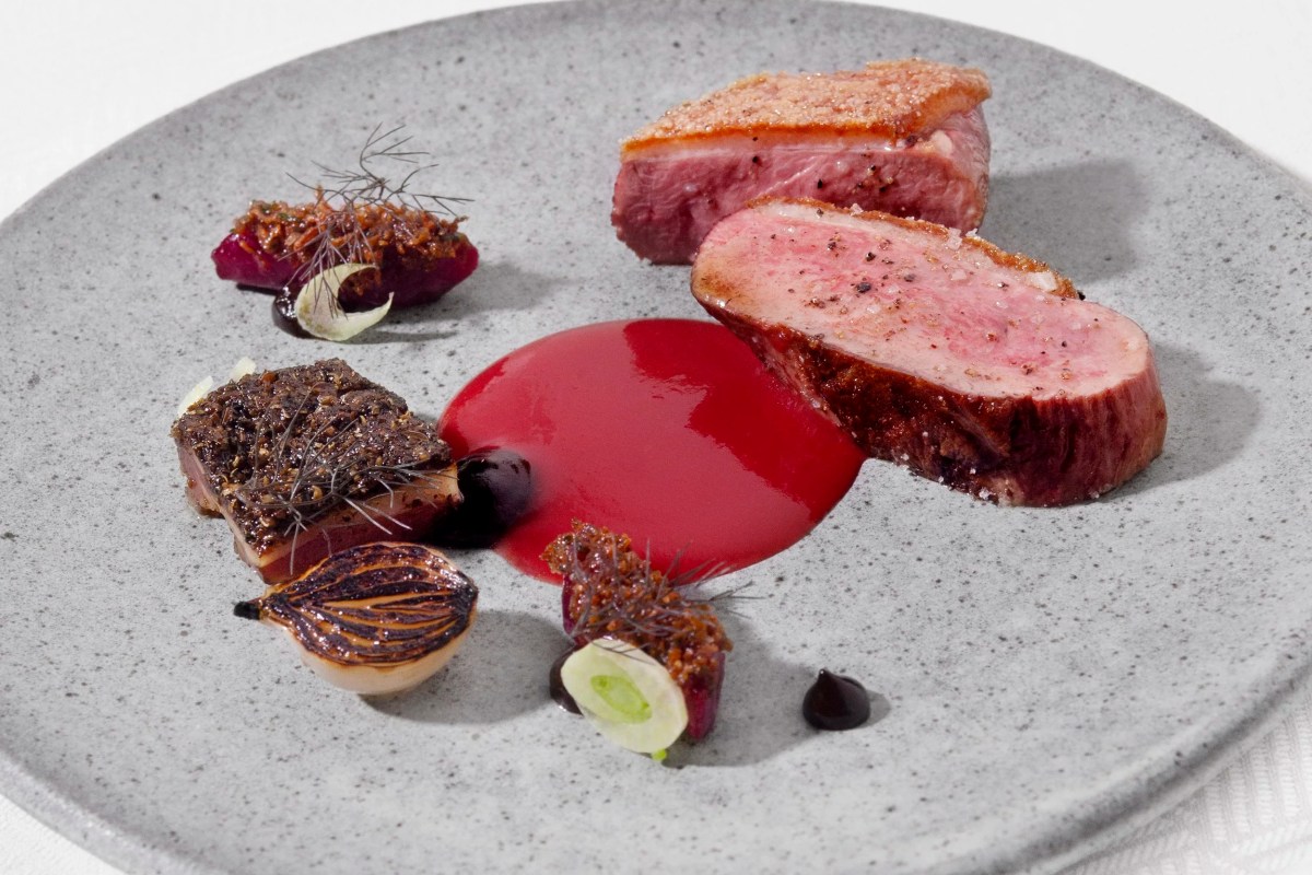 Sliced duck breast and other meats on a speckled grey plate with red sauce and roasted vegetables