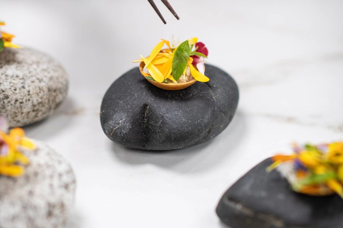 Artistic plated dish with edible flowers and petals on dark stones