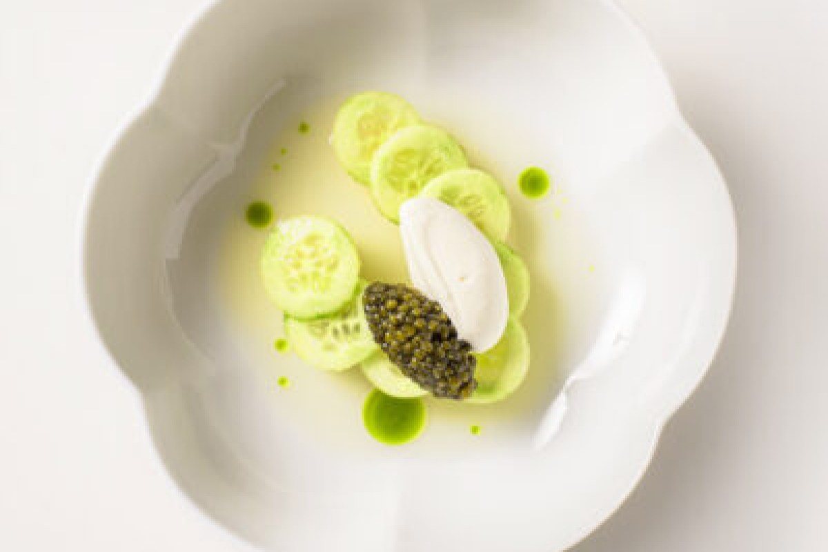 White scalloped bowl with cucumber slices, cream, and black caviar with green oil dots