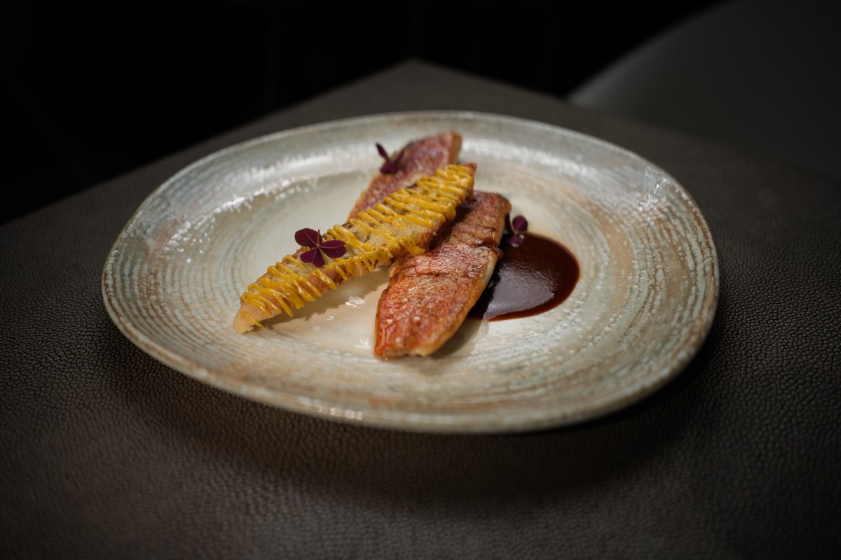 Plate with pan-seared fish fillets, yellow sauce drizzle, and dark sauce
