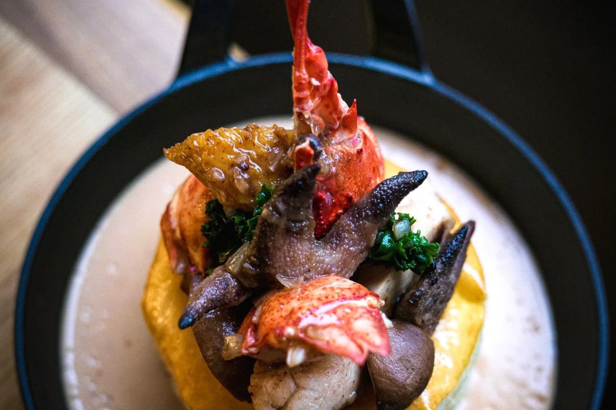 Overhead shot of a lobster and seafood dish plated on a dark plate with greens
