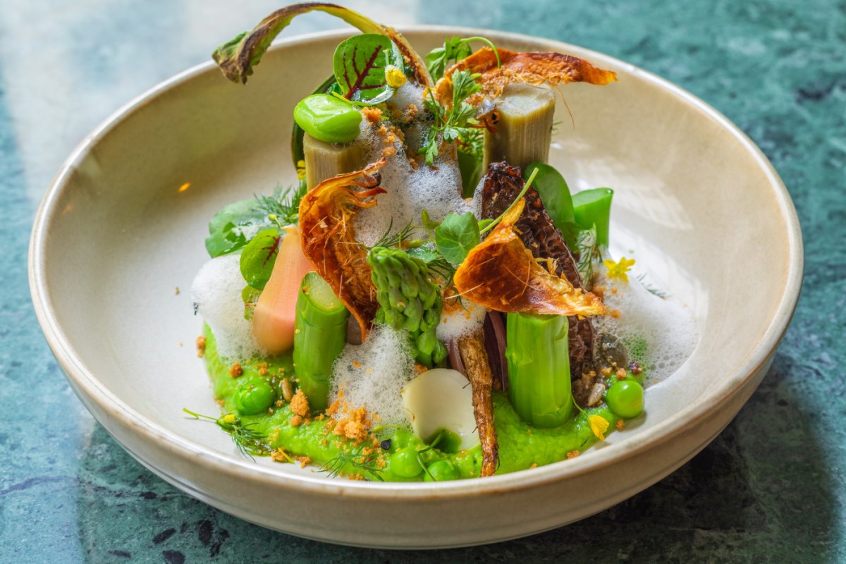 Gourmet dish with asparagus, peas, shrimp, and crispy vegetable chips in a pale green sauce