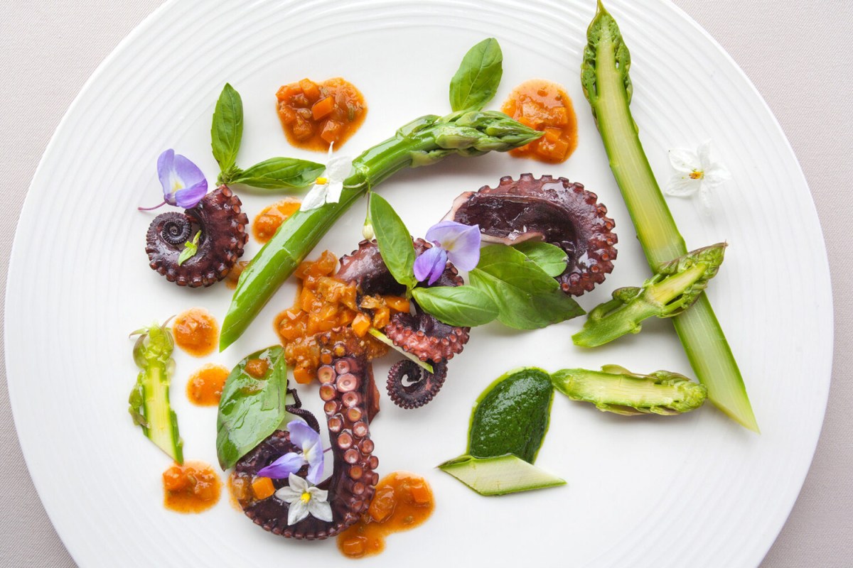 Plated dish of octopus with asparagus, sauce and edible flowers