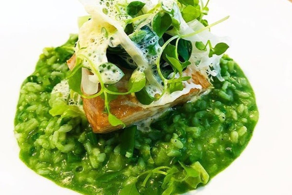 Seared fish fillet on a bright green herb risotto, topped with shoots, shaved fennel and foam
