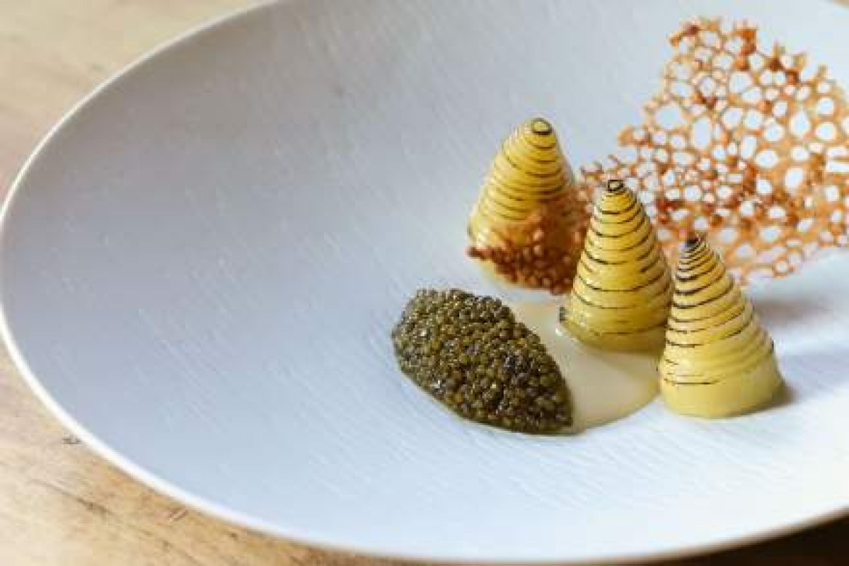 White plate with caviar, striped pastry cones and a crisp lace tuile garnish