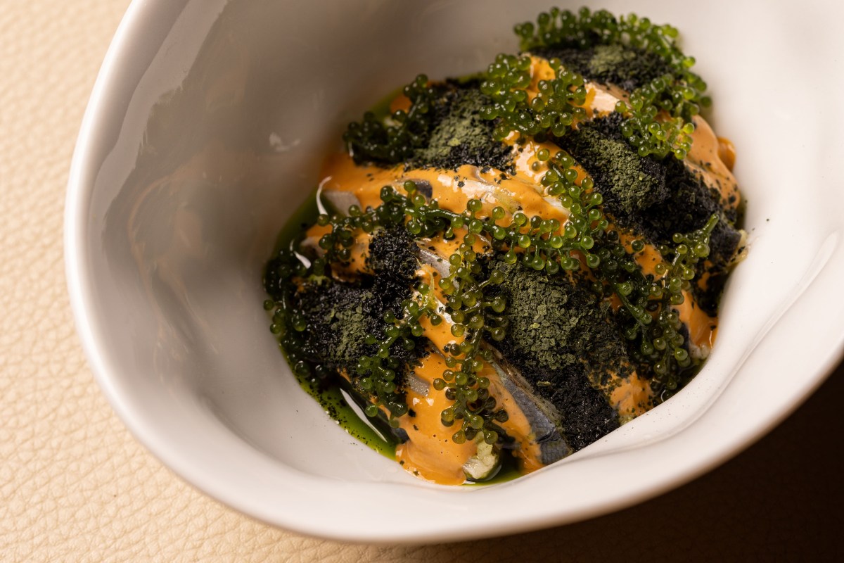 Plated dish with dark seaweed powder, orange sauce, and green finger lime caviar in a white bowl
