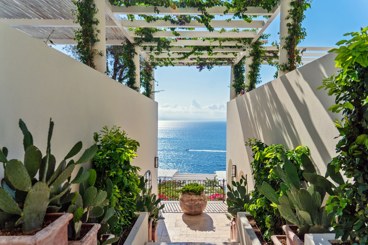 Garden pergola walkway with cacti and plants leading to sea view