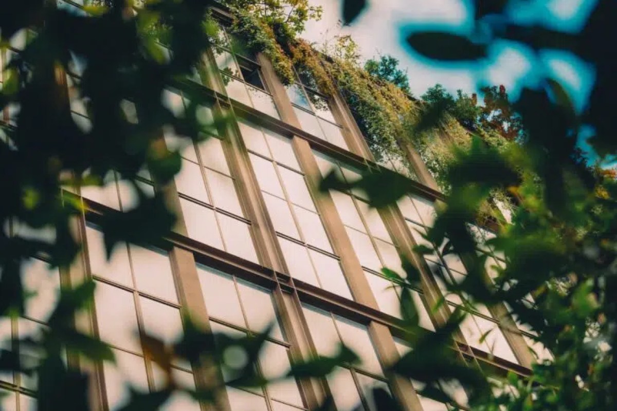 Modern glass hotel facade with greenery and vines, viewed through tree leaves