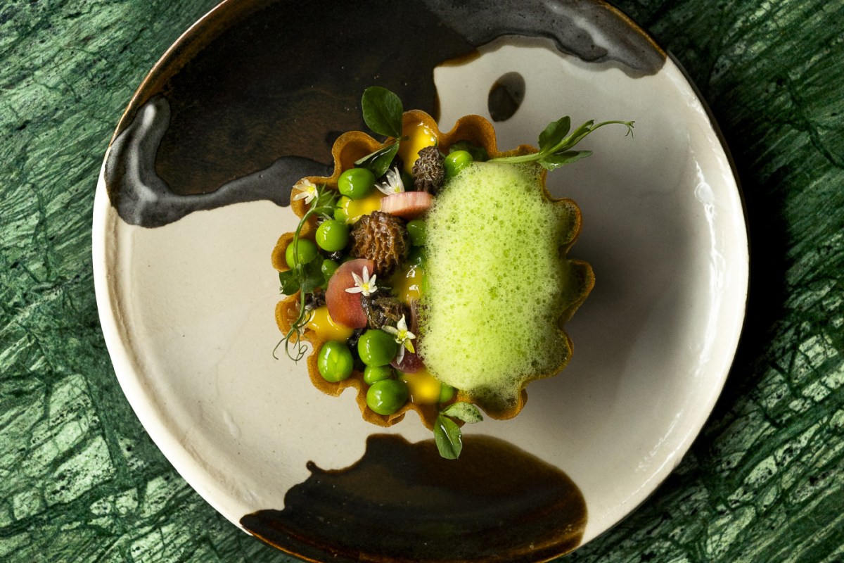 Tart with peas, morels, rhubarb and green foam on a dark ceramic plate