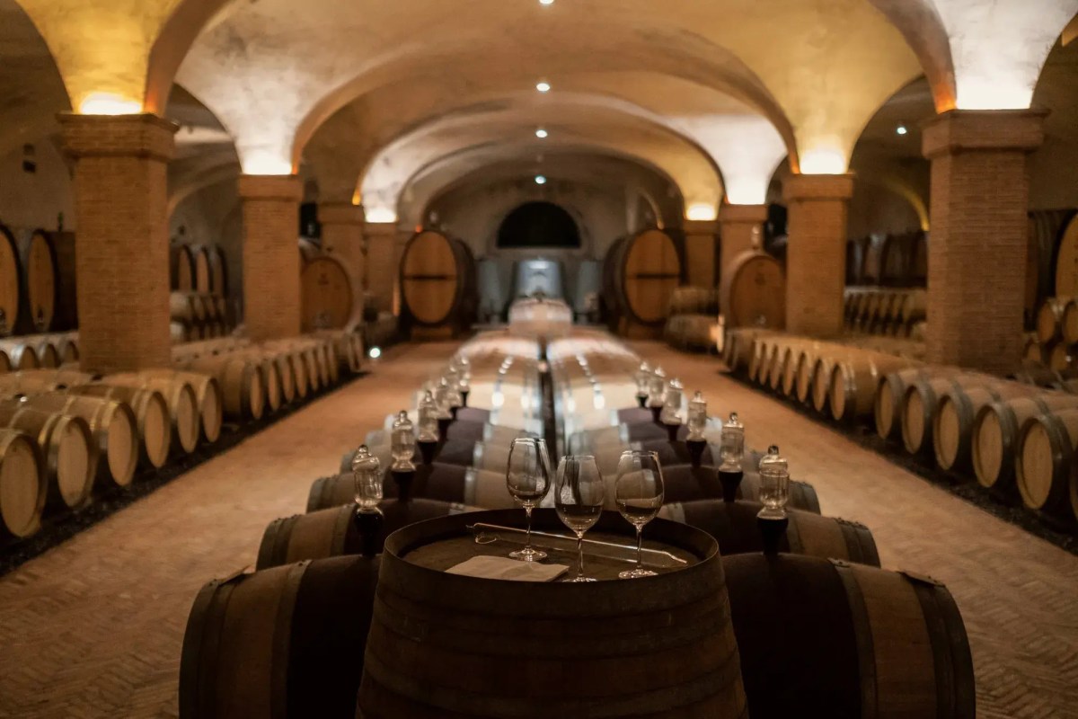 Wine cellar with rows of oak barrels and tasting glasses