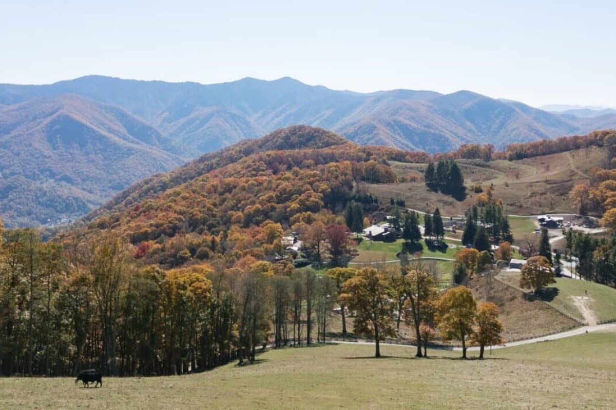 Aerial autumn view of the Cataloochee Ranch property nestled among the Smoky Mountains, with several buildings visible in the valley