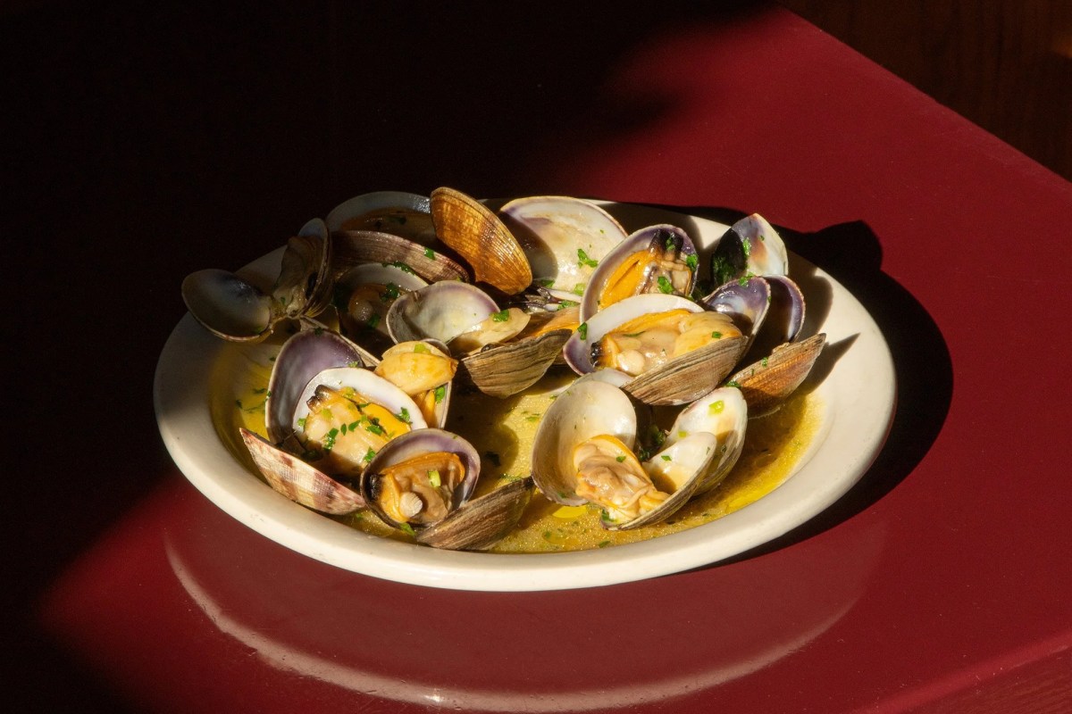 Close-up of a white bowl of steamed clams in garlic butter sauce with herbs, on a dark red table