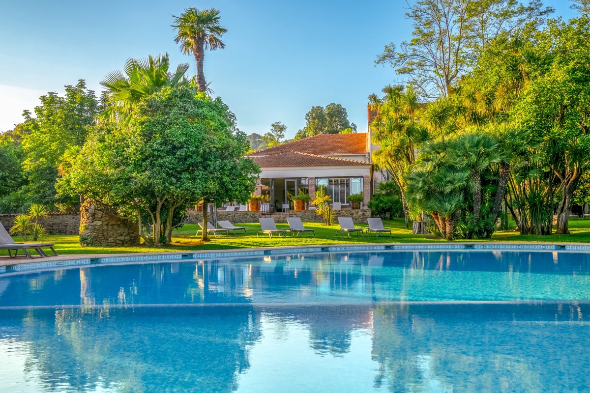 Outdoor swimming pool with loungers, palm trees and the hotel building visible behind