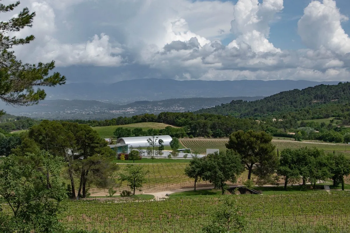 Jean Nouvel's wine cellar among vineyards and woodland at Château La Coste