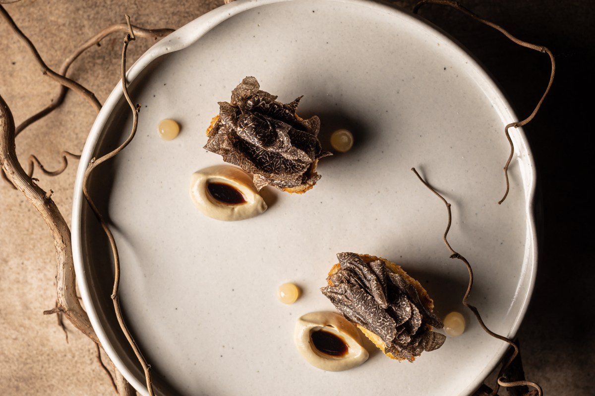 Plated dish with shaved truffle, cream dots, and twig garnish on a round plate
