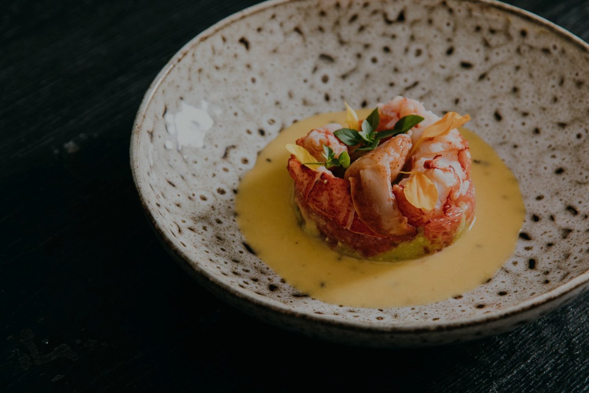 Artfully plated seafood dish with shellfish on a pale sauce in a speckled ceramic bowl