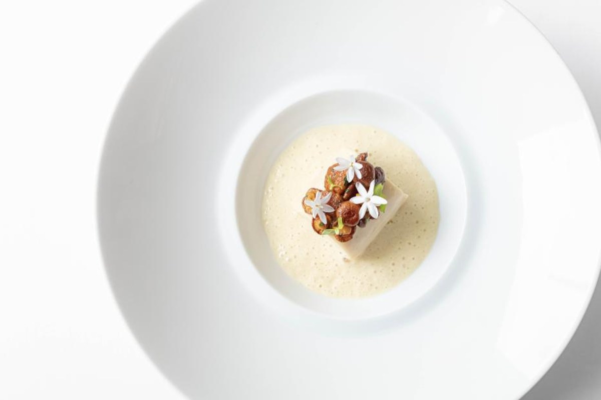 Plated dish with foam, mushrooms, and edible flowers on white plate