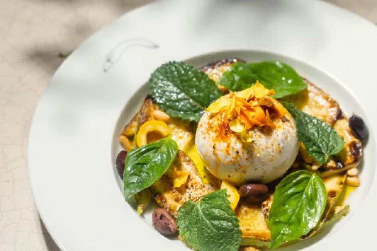 Plate of burrata with grilled vegetables, olives, pine nuts and fresh herbs