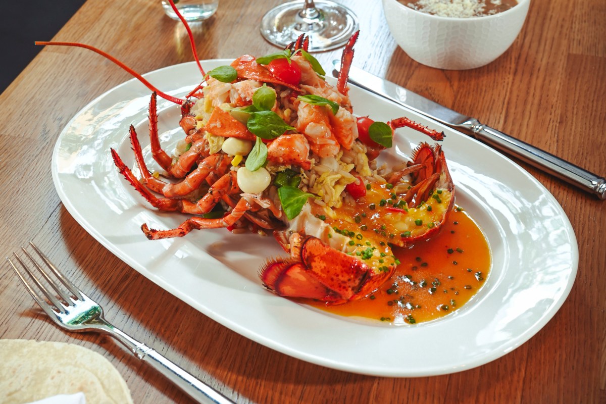 Grilled whole lobster with rice, herbs, cherry tomatoes and citrus butter sauce on a white platter