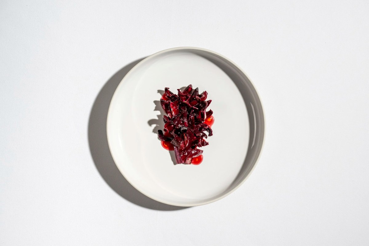 Plated dish of red cabbage with cherry tomatoes on white plate