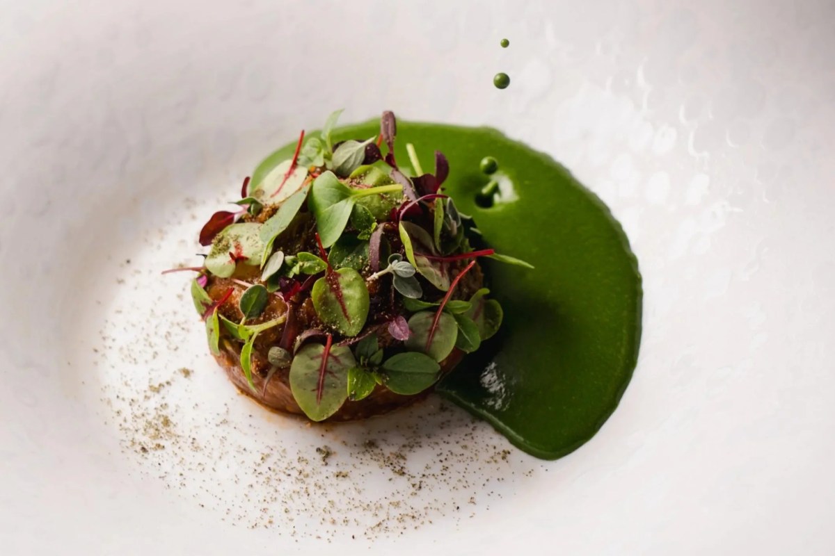 Elegant plated dish with herb crust and green sauce swirl on white plate