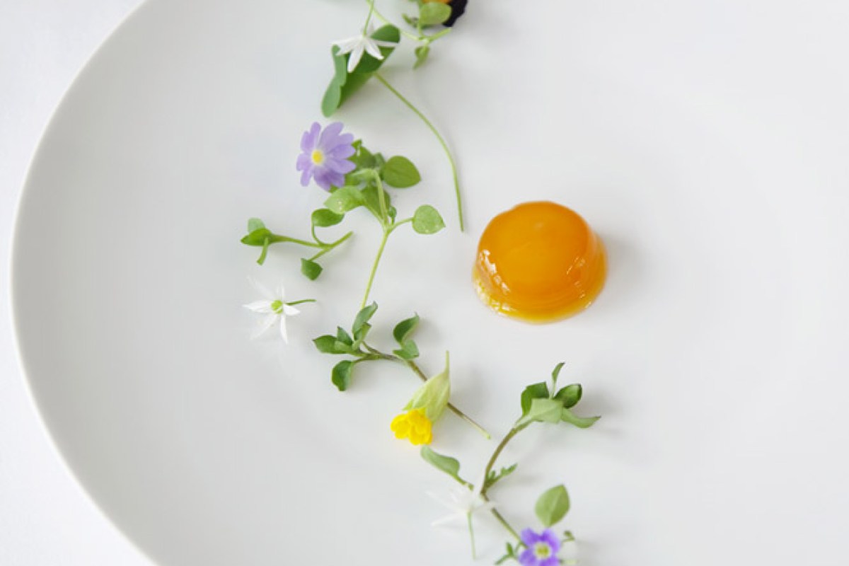 Artful white plate with an orange gel dot and scattered edible flowers and herbs