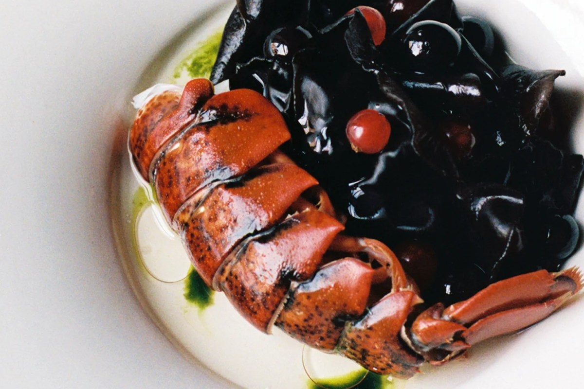 Overhead shot of a plated dish with lobster tail and black seaweed-like garnish, red berries