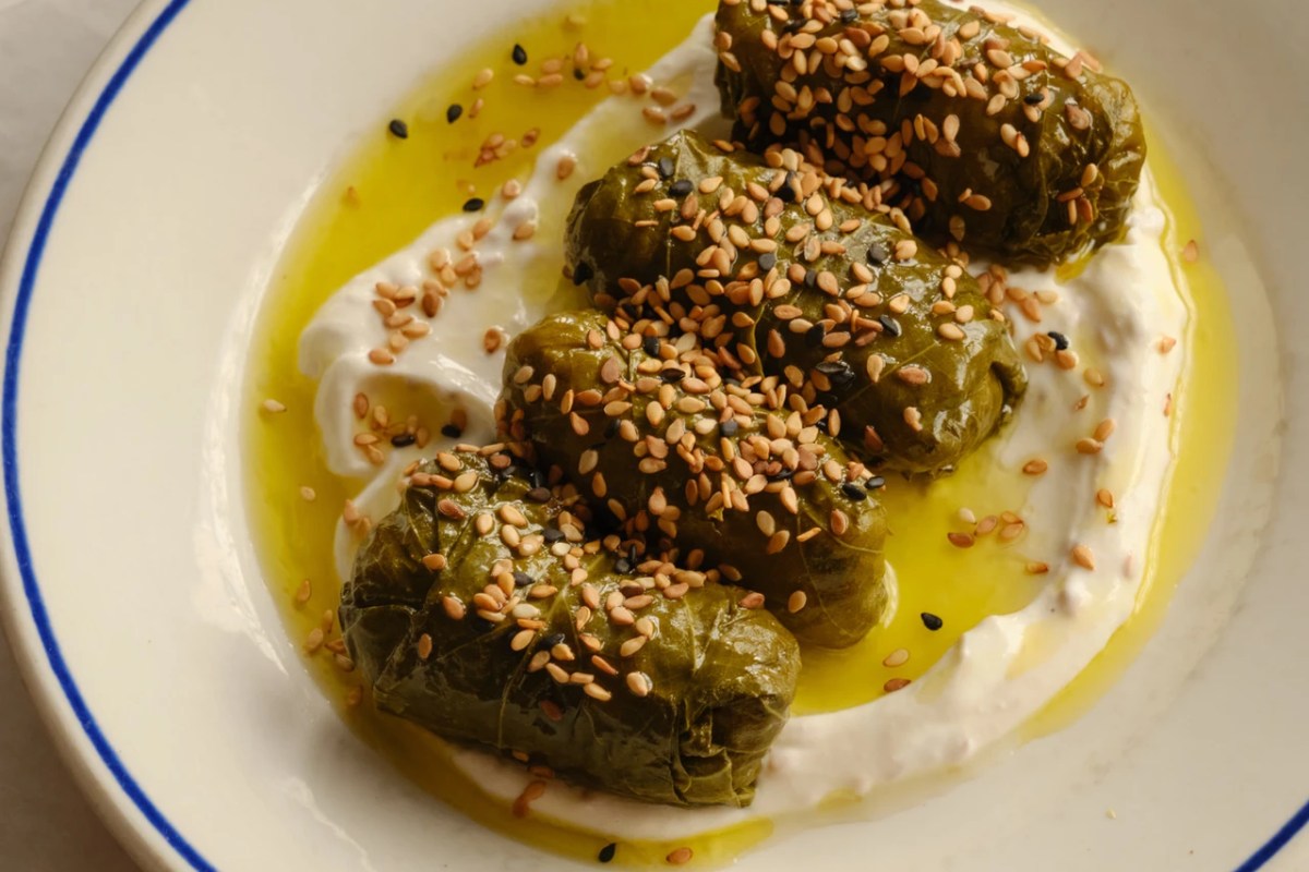 Stuffed vine leaves (dolma) with sesame seeds over yogurt and olive oil