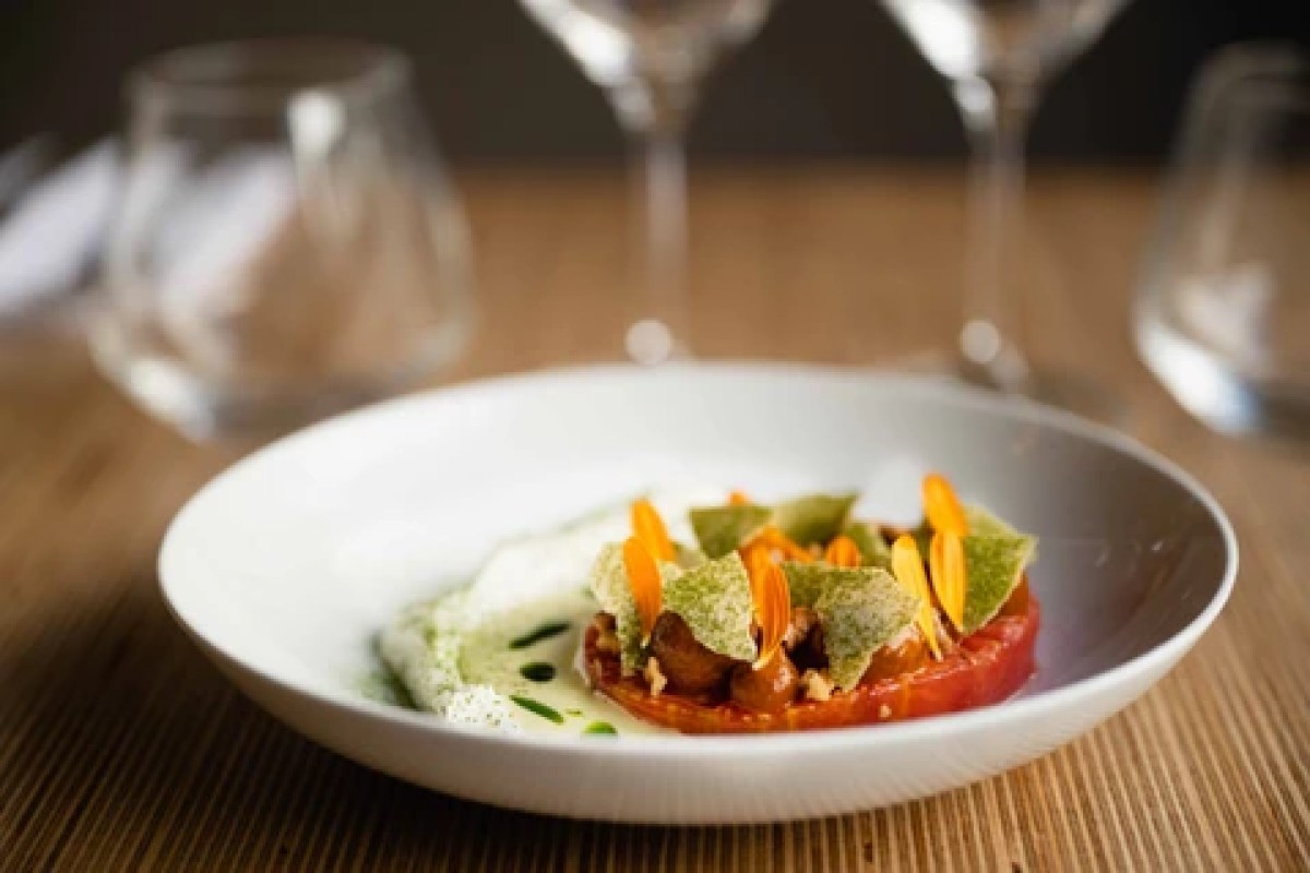 Plated starter with tomato, herb crisps and edible flowers on a wooden table with wine glasses