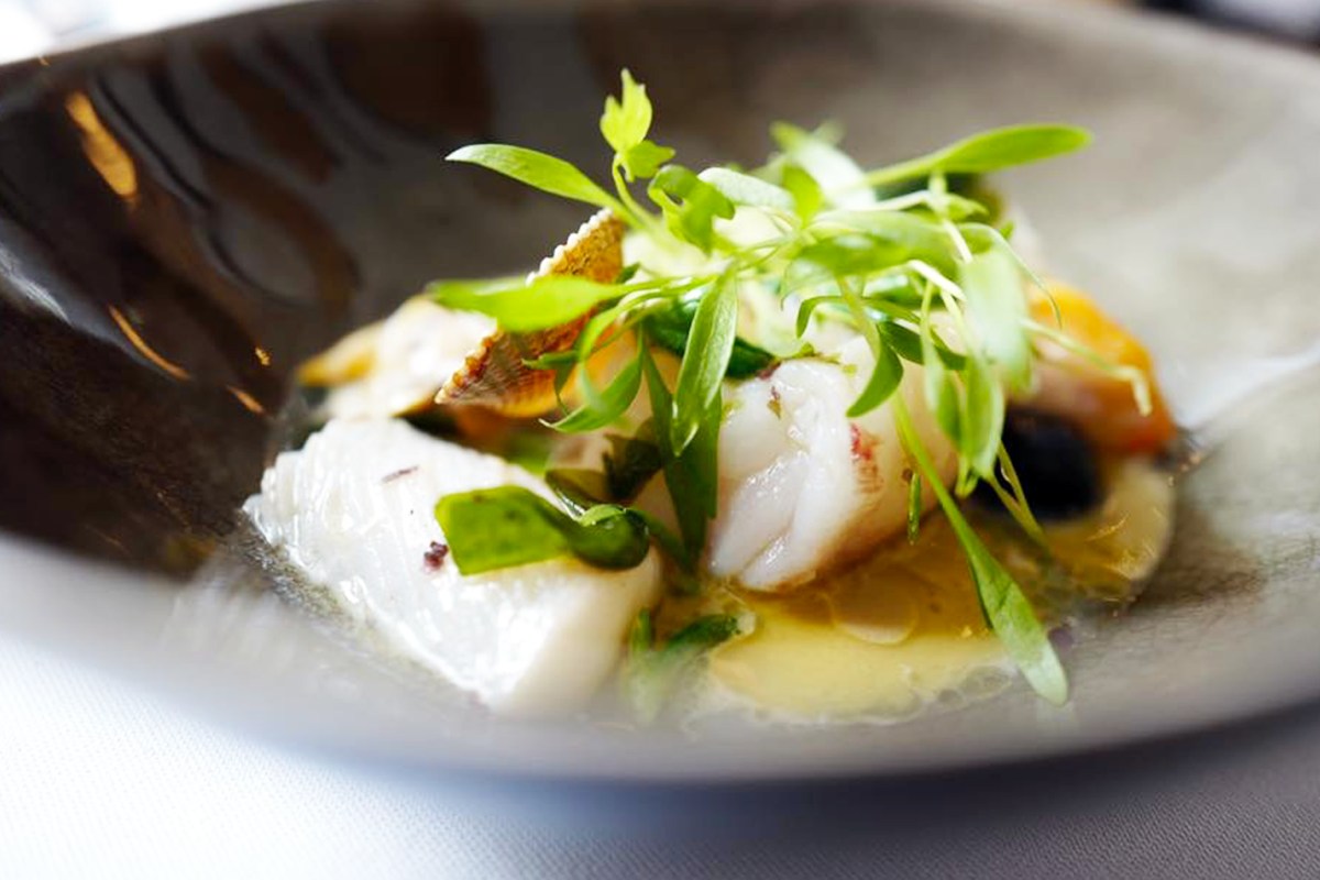 Close-up of a seafood dish with white fish, herbs and citrus garnish on a dark plate