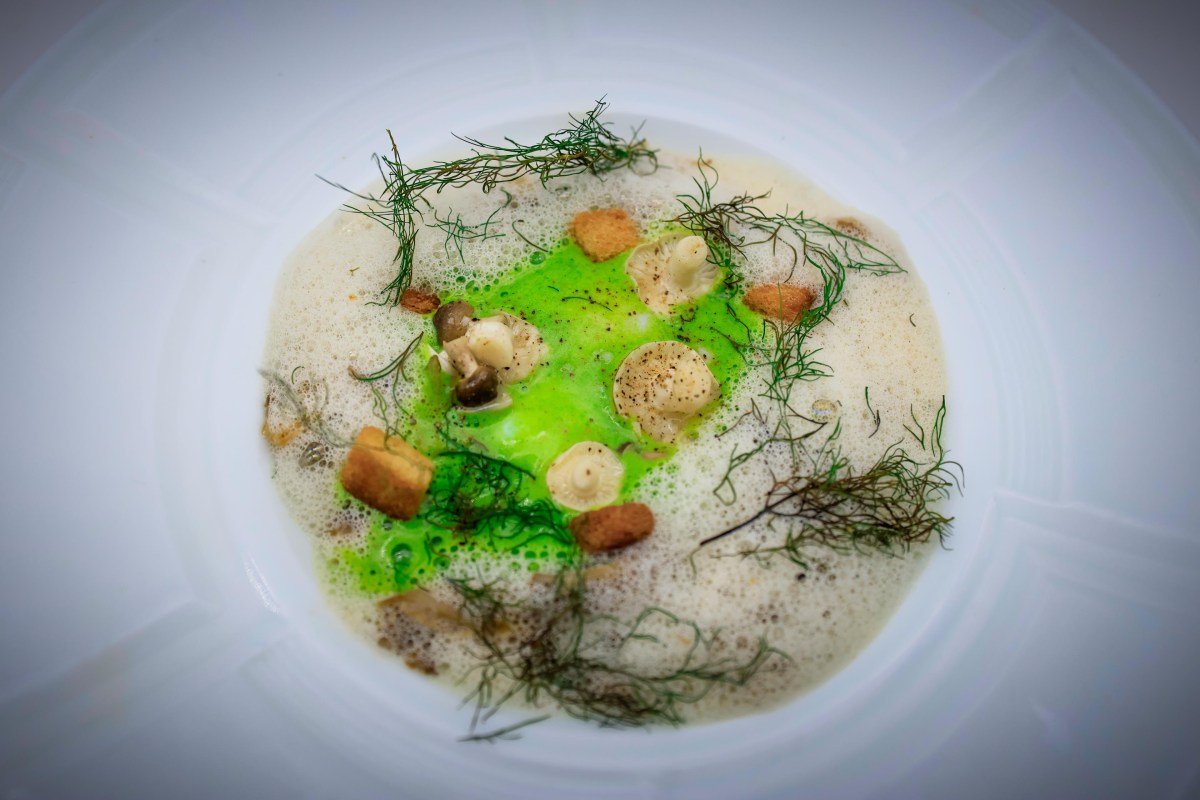 Gourmet plated dish with green sauce, seafood and herbs on white plate