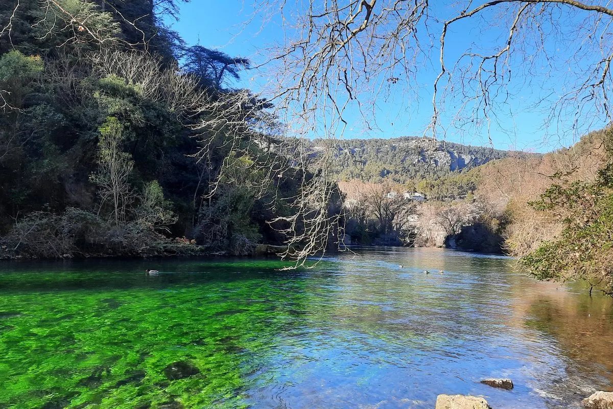 The clear green water of the Sorgue at Fontaine-de-Vaucluse