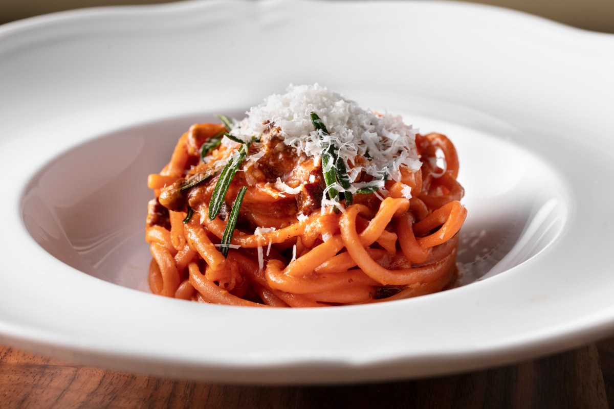 Plate of bucatini pasta with tomato sauce, grated cheese and herbs on dark wood table