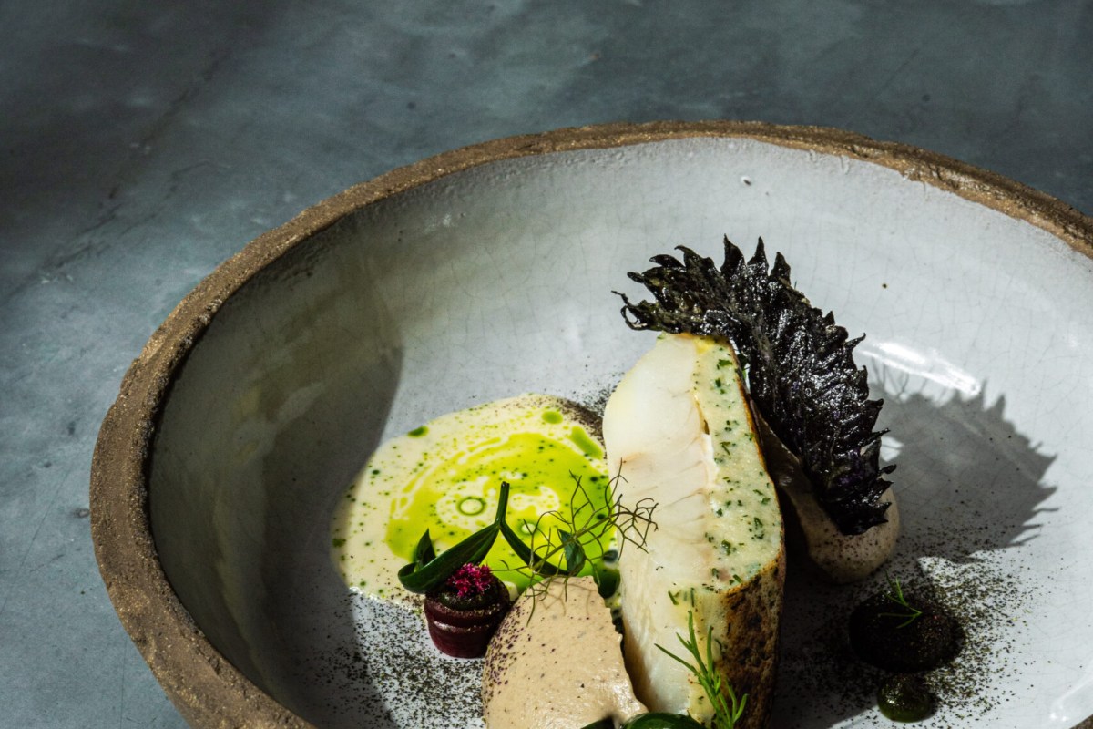 Plated fish dish with green herb sauce, puree and crispy garnish on a textured ceramic bowl