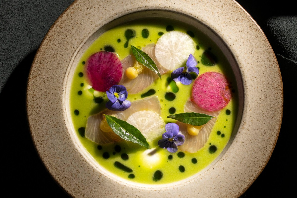Overhead view of a plated dish with pale fish, radish slices, herbs and edible flowers in green sauce