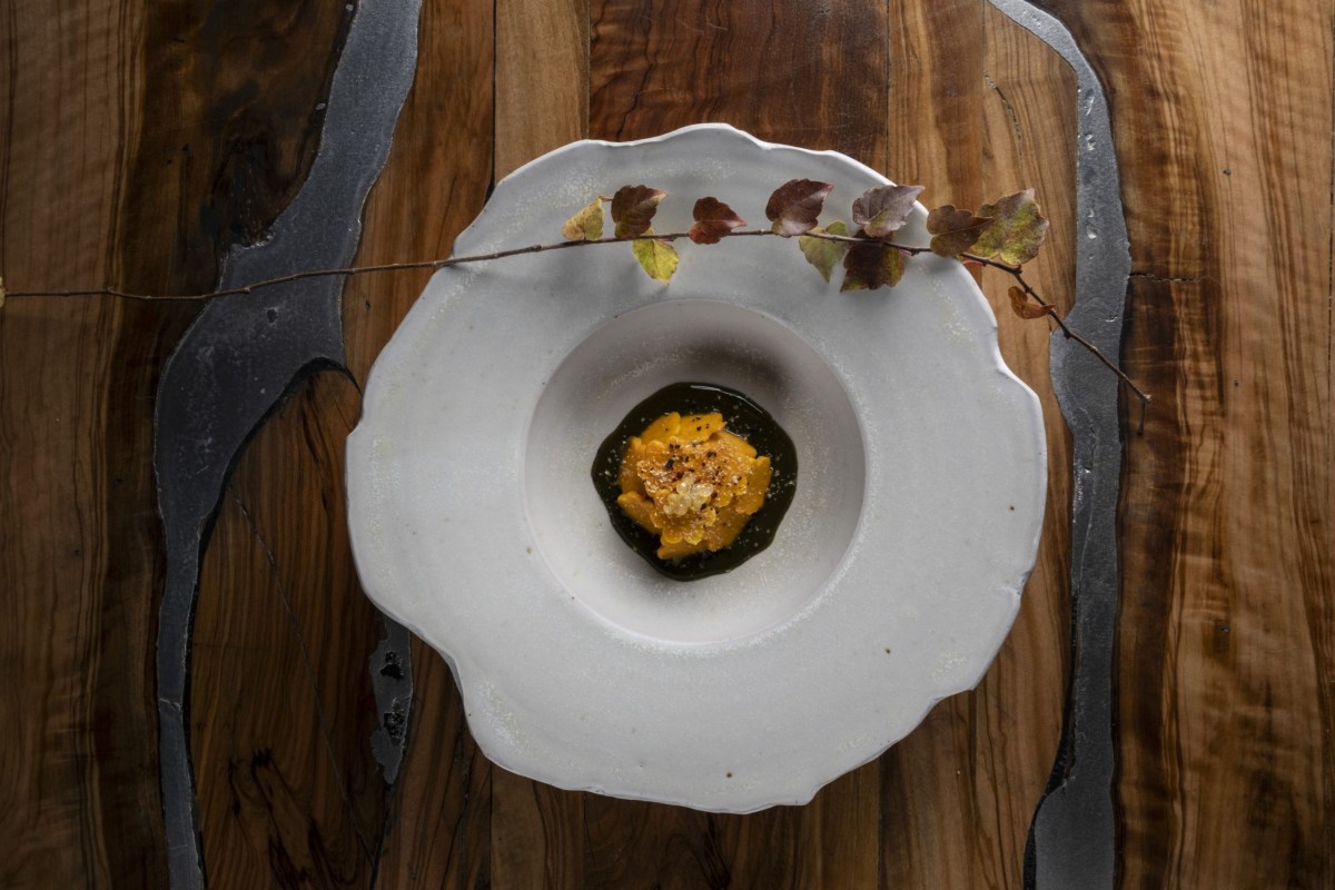 Plated dish with a small portion of orange food in dark sauce, garnished with a leafy branch, on a wooden table
