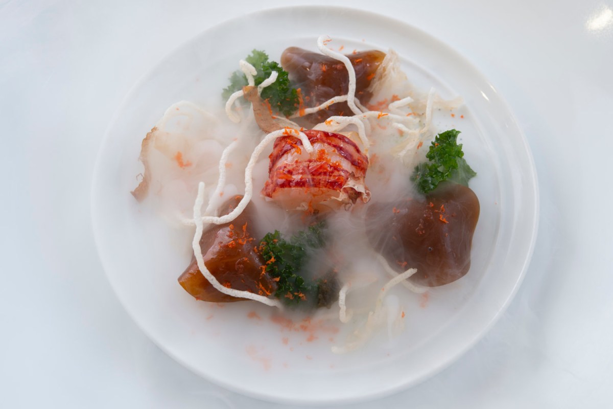 Artistic seafood dish with lobster, jellied consommé squares, crispy noodles and herb garnish under light mist
