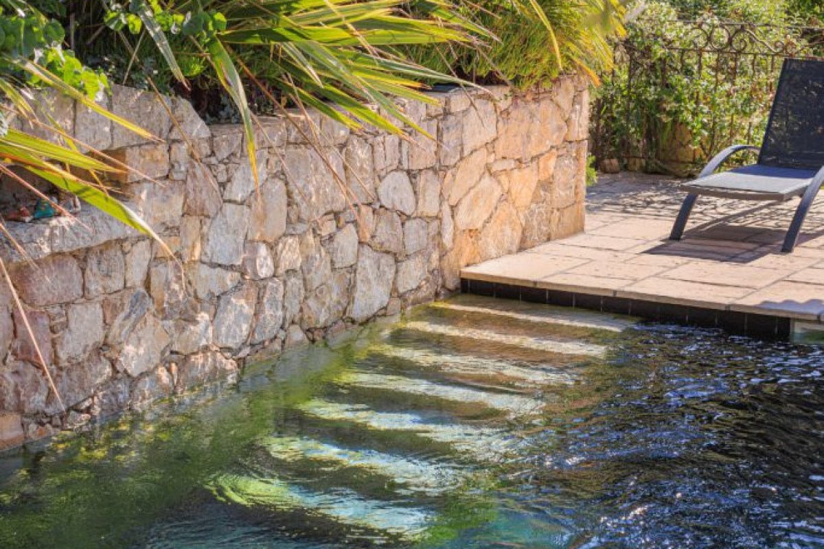 Natural pool with stone wall and lounge chair in a garden setting