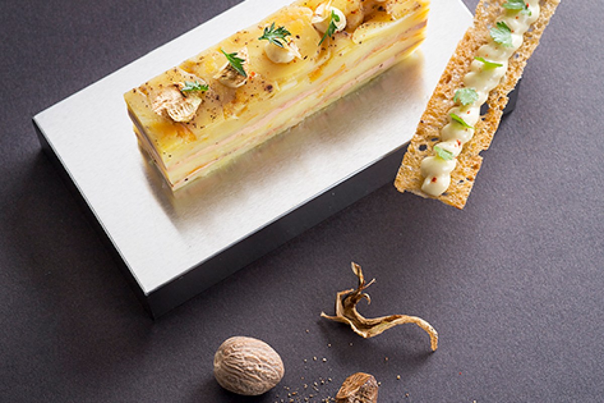 Elegant plated terrine dish with herbs and dried mushroom garnish on dark background, fine dining presentation