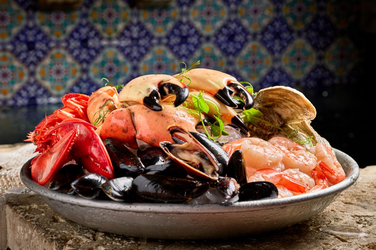 A seafood platter with crab claws, lobster, shrimp, mussels and oysters on ice, served on a metal tray
