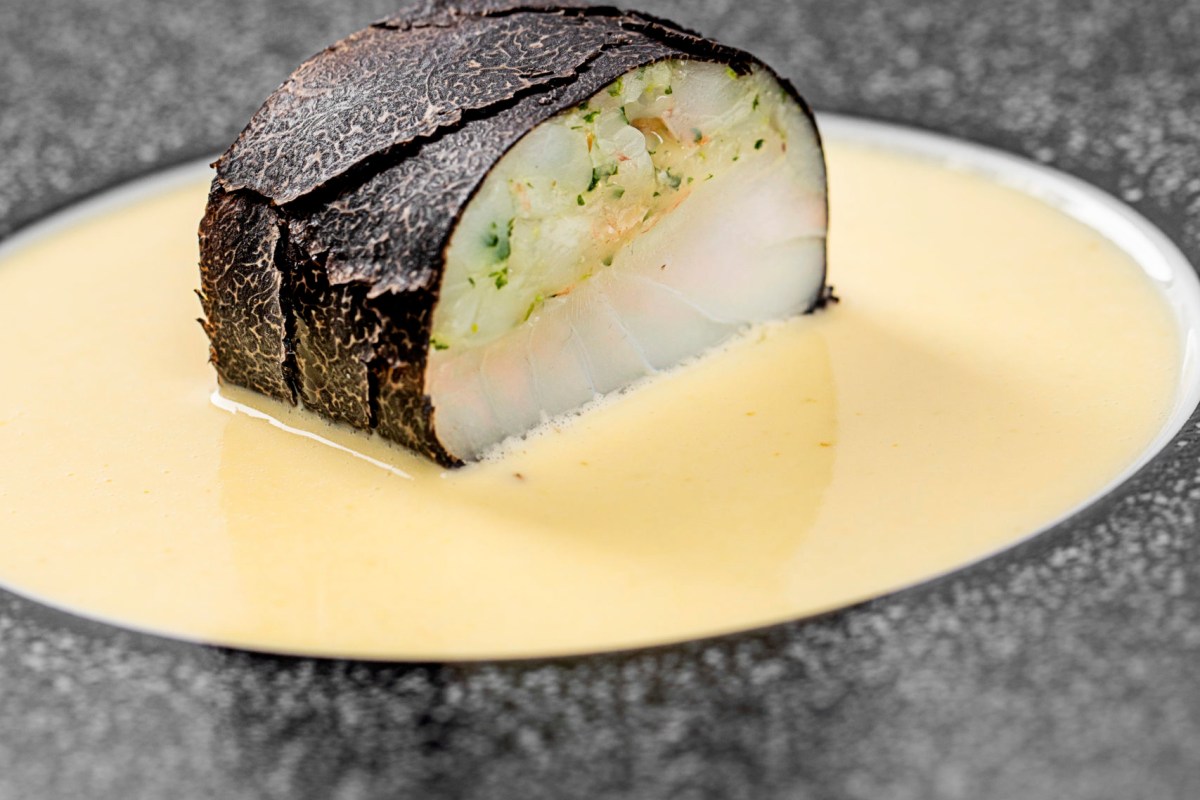 Sliced fish dish wrapped in shaved black truffle, plated in a pool of pale creamy sauce