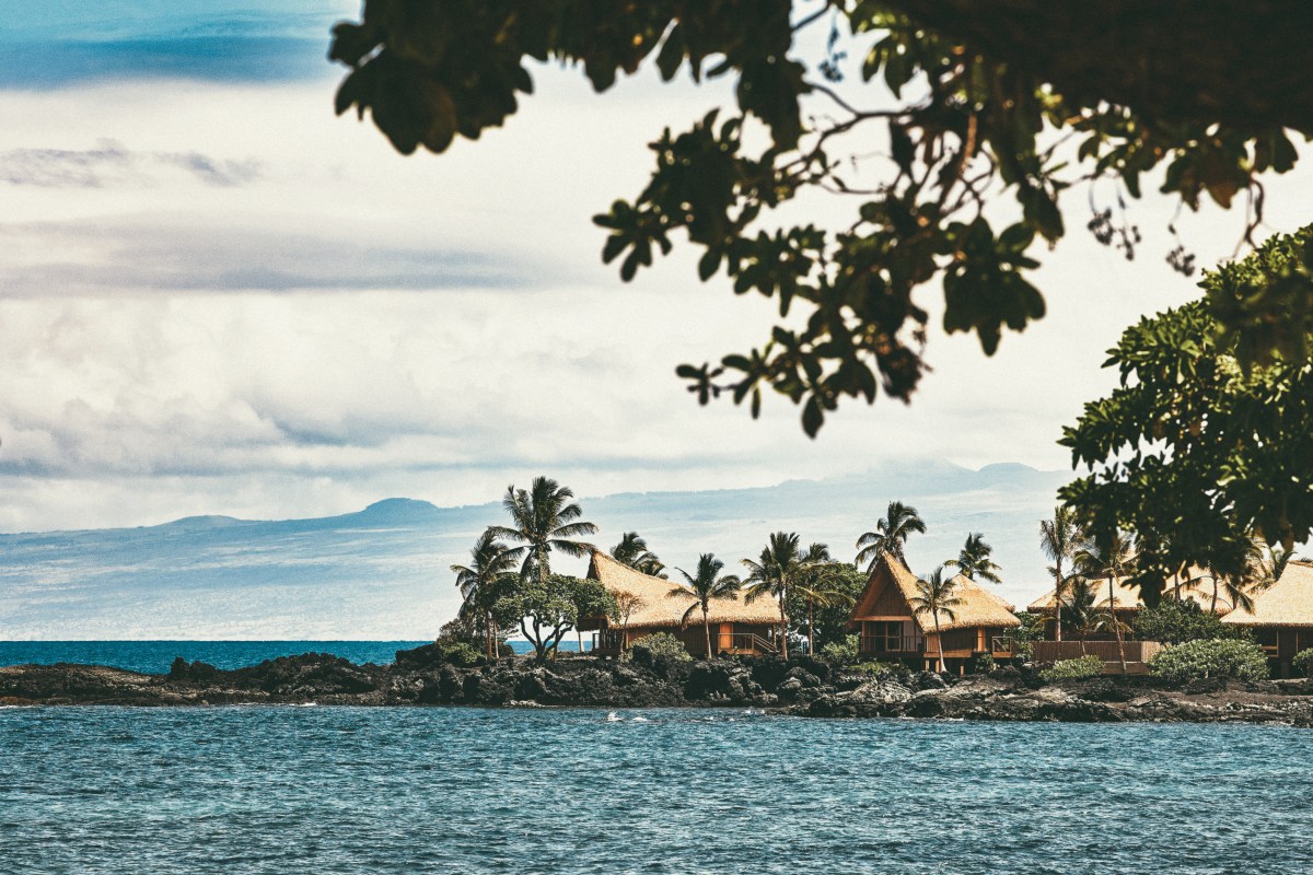 View across water of thatched bungalows amid palm trees, framed by tree branches