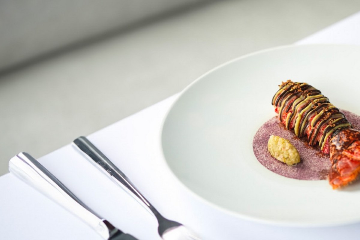 Plated langoustine dish with dark glaze and purple sauce on white plate