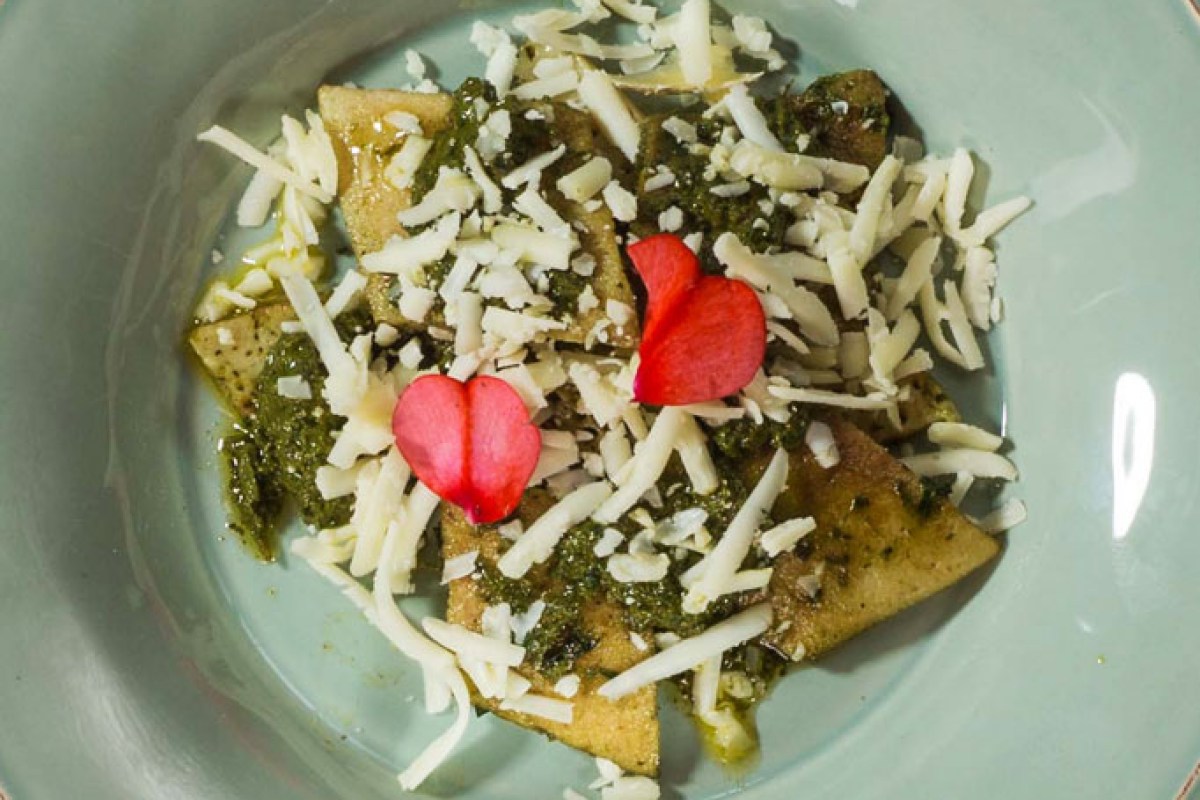 Plated dish with pasta triangles, pesto, shredded cheese and red flower petals