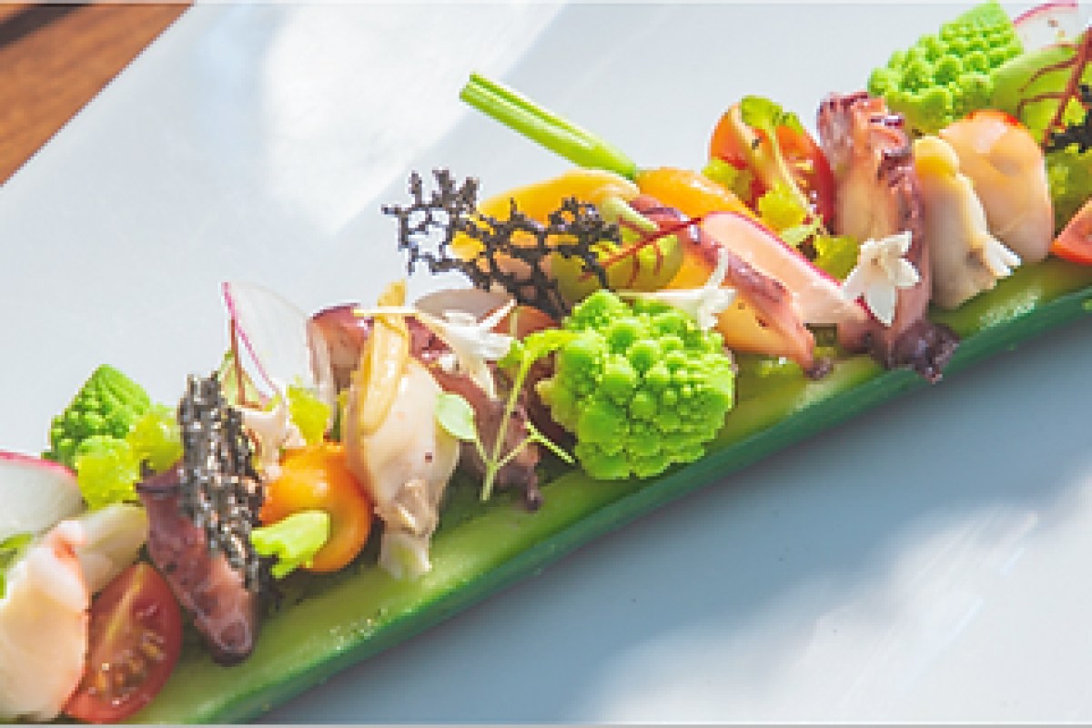 Octopus and seafood salad arranged along a narrow green plate with romanesco florets and microgreens