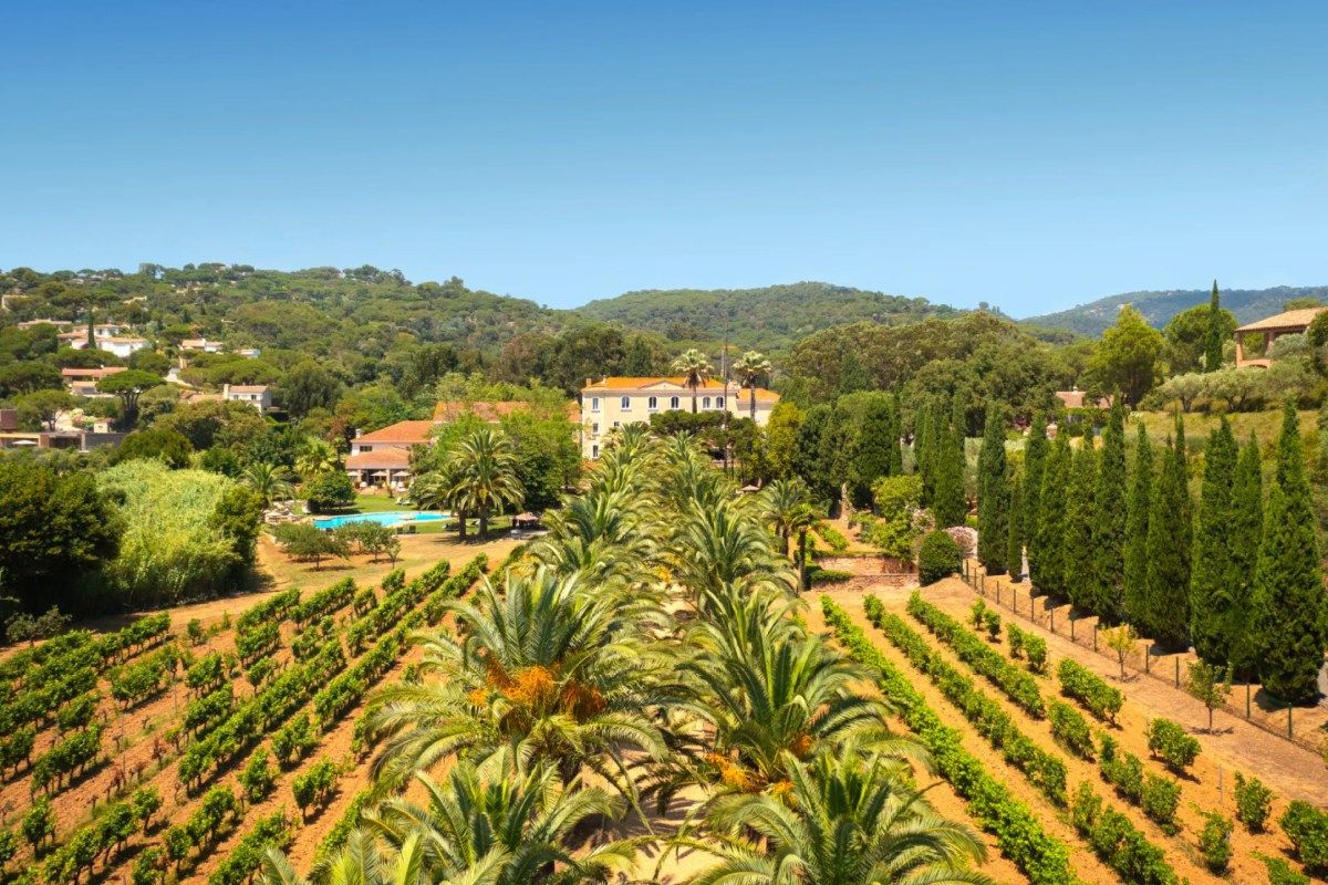 Aerial view of the château with palm-lined vineyard, pool, and surrounding hills