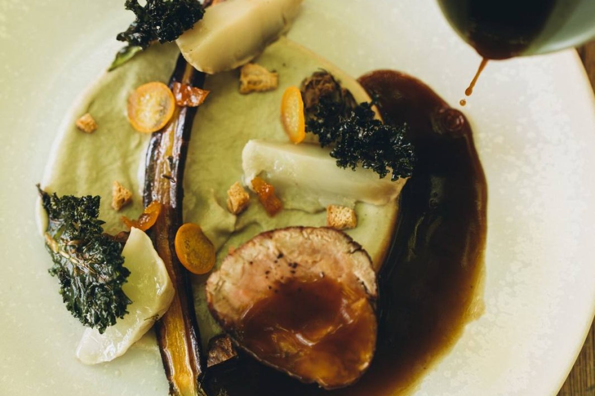 Overhead view of a plated dish with fish, roasted vegetables, kale and a dark sauce